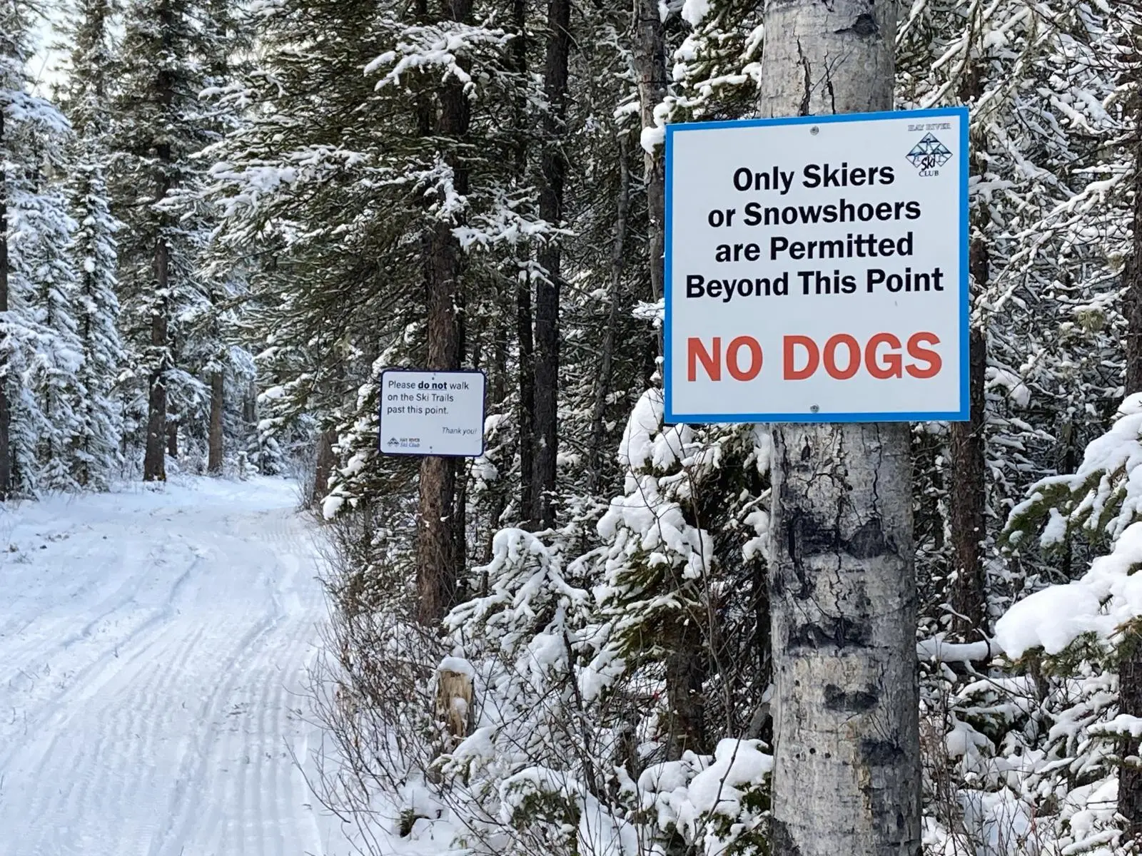 Hay River Ski Club No Dogs